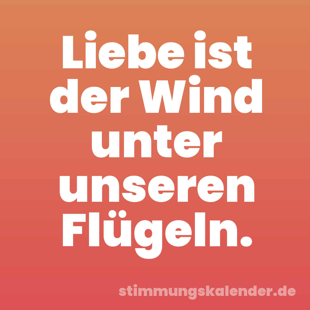 Liebe ist der Wind unter unseren Flügeln.