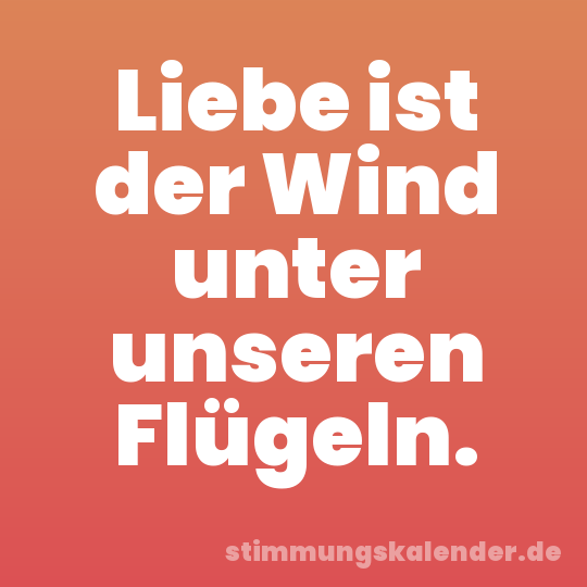Liebe ist der Wind unter unseren Flügeln.