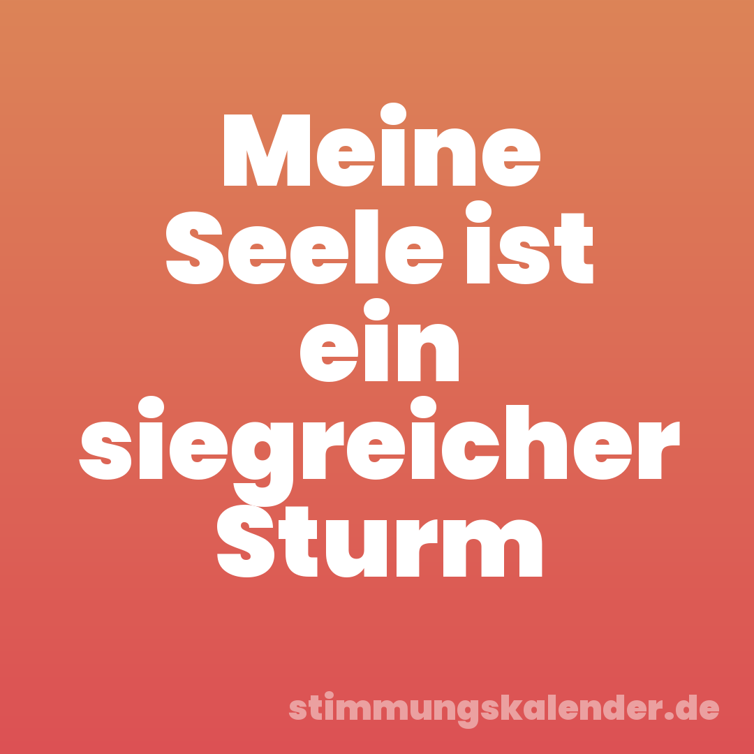 Meine Seele ist ein siegreicher Sturm