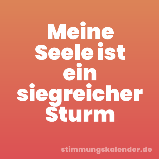 Meine Seele ist ein siegreicher Sturm