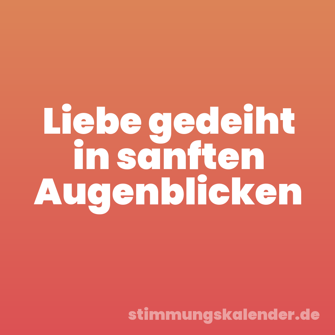 Liebe gedeiht in sanften Augenblicken