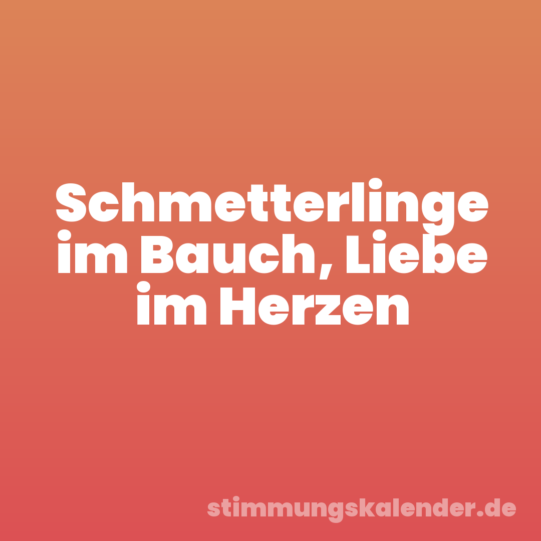 Schmetterlinge im Bauch, Liebe im Herzen