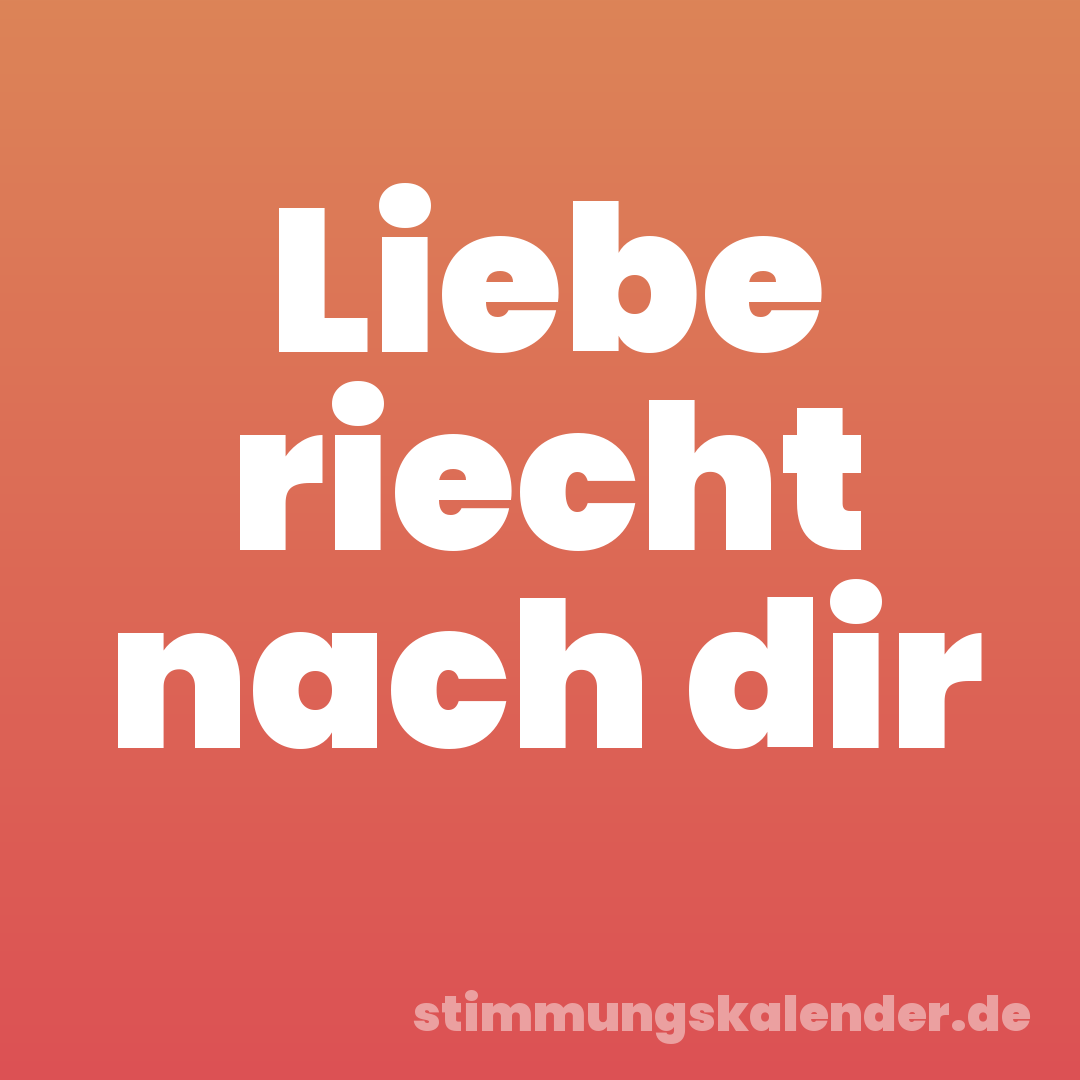 Liebe riecht nach dir