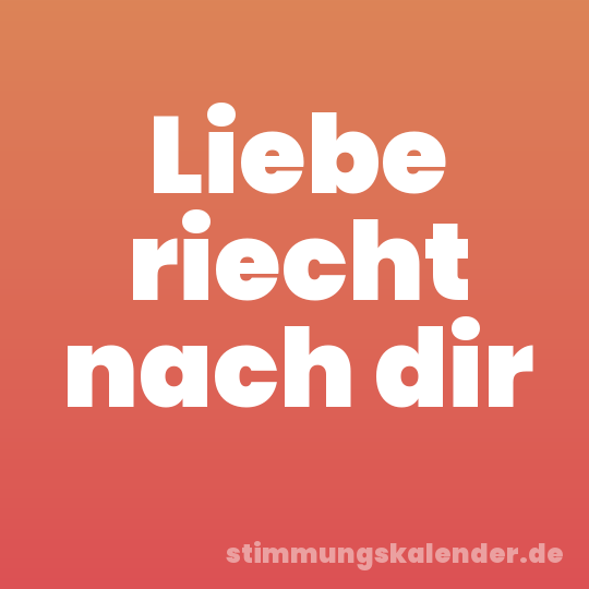 Liebe riecht nach dir