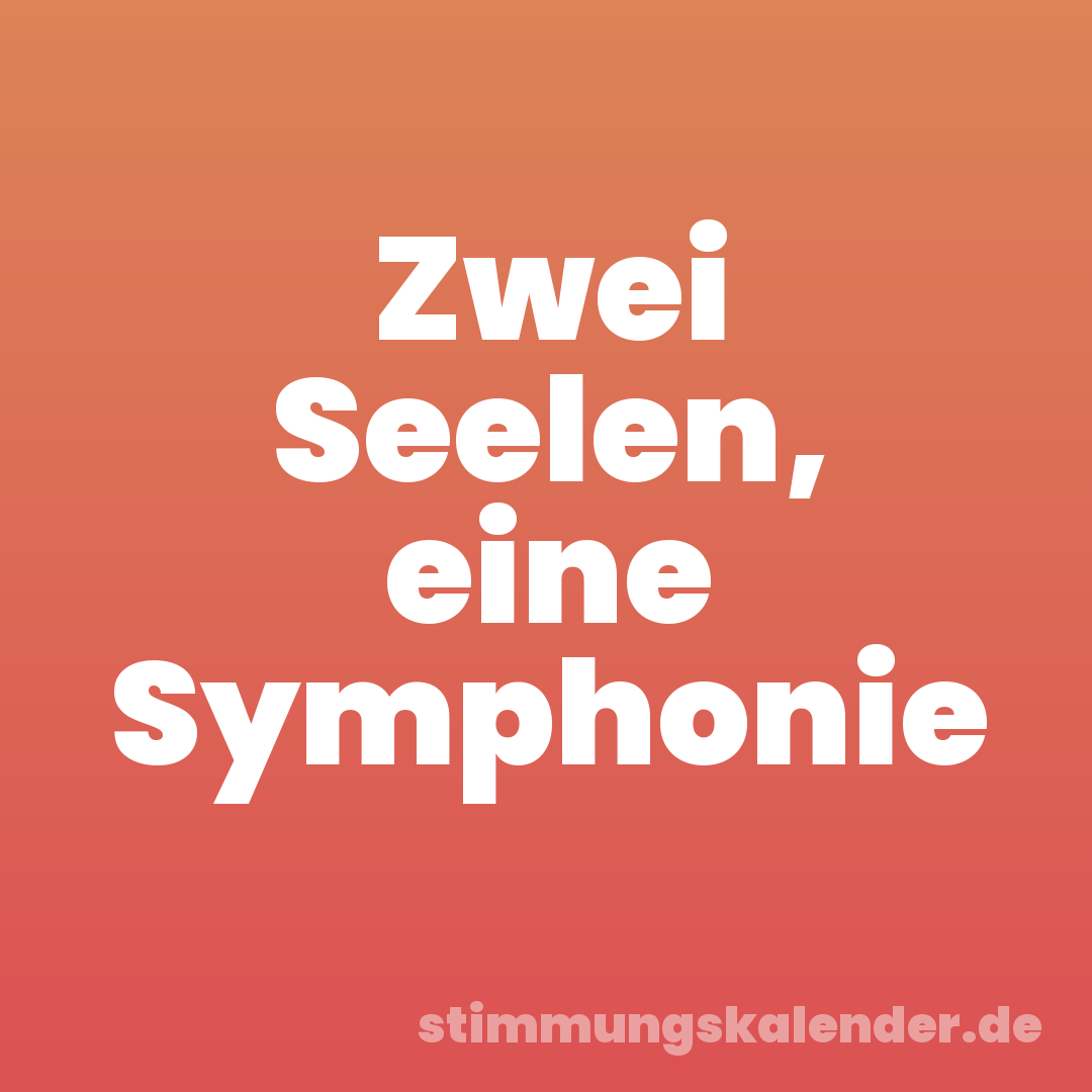 Zwei Seelen, eine Symphonie