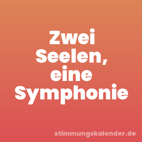 Zwei Seelen, eine Symphonie