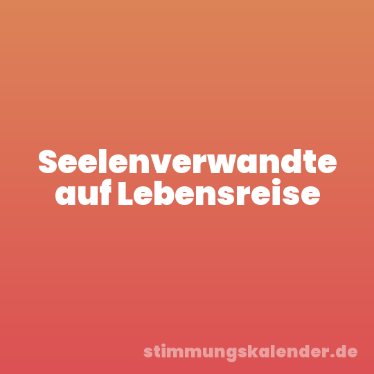 Seelenverwandte auf Lebensreise