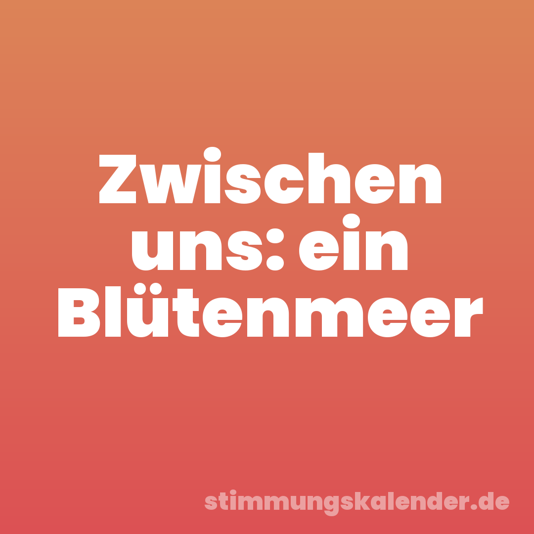 Zwischen uns: ein Blütenmeer
