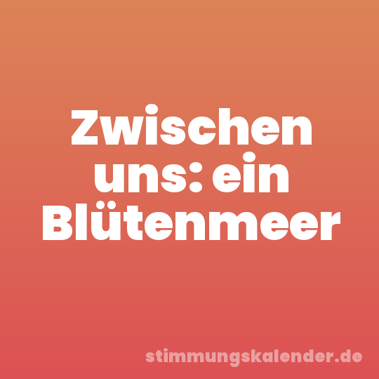 Zwischen uns: ein Blütenmeer