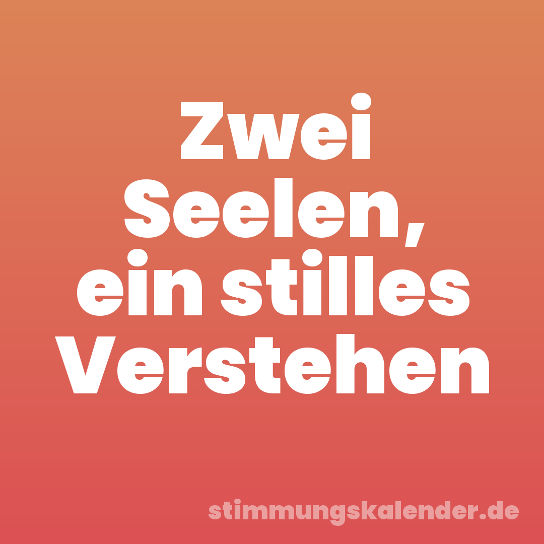 Zwei Seelen, ein stilles Verstehen