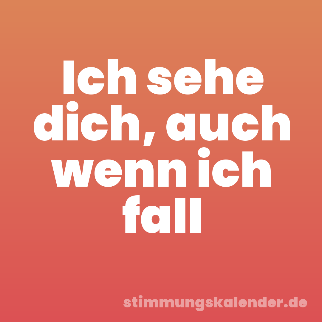 Ich sehe dich, auch wenn ich fall