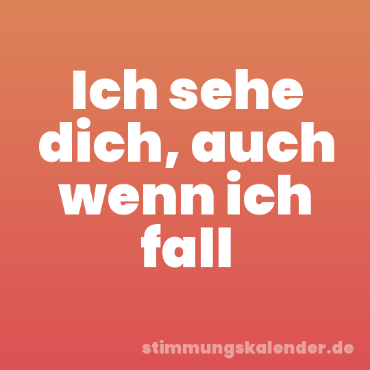 Ich sehe dich, auch wenn ich fall