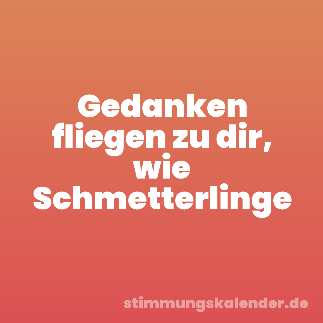 Gedanken fliegen zu dir, wie Schmetterlinge