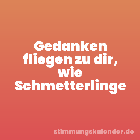 Gedanken fliegen zu dir, wie Schmetterlinge