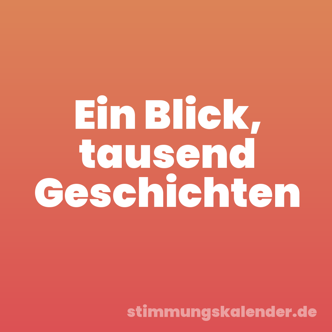 Ein Blick, tausend Geschichten