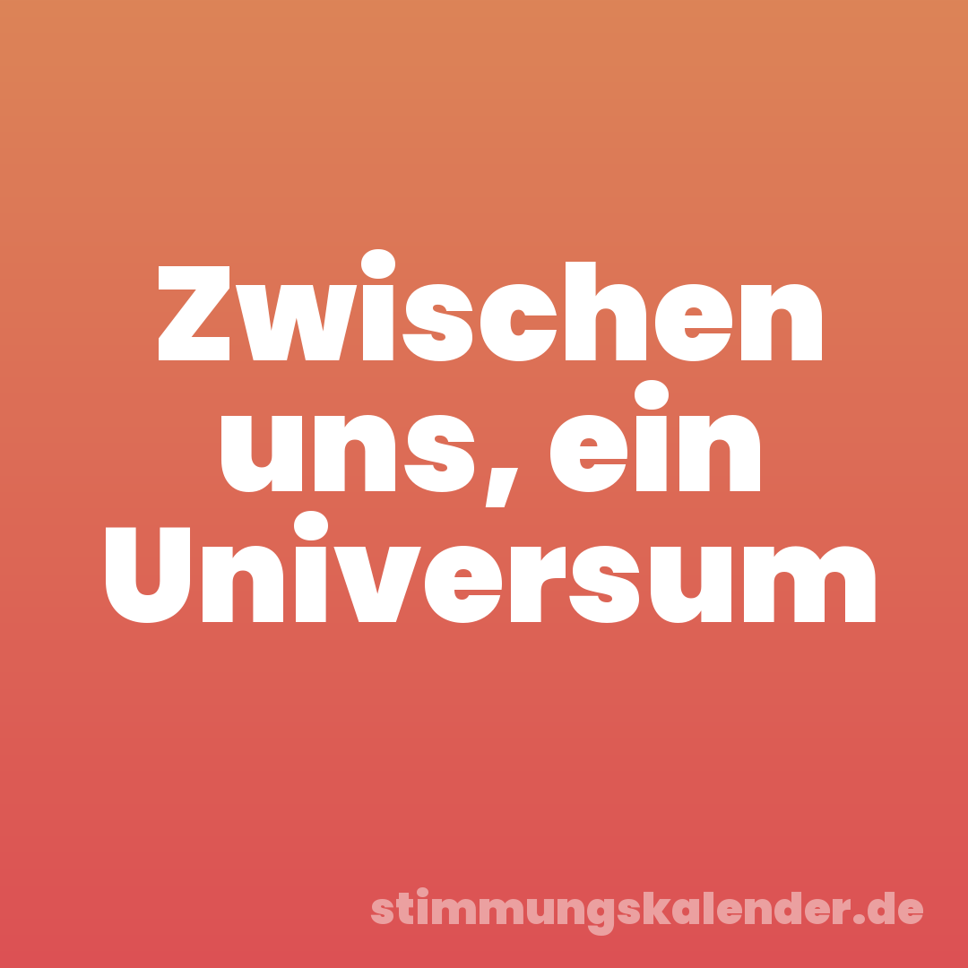 Zwischen uns, ein Universum