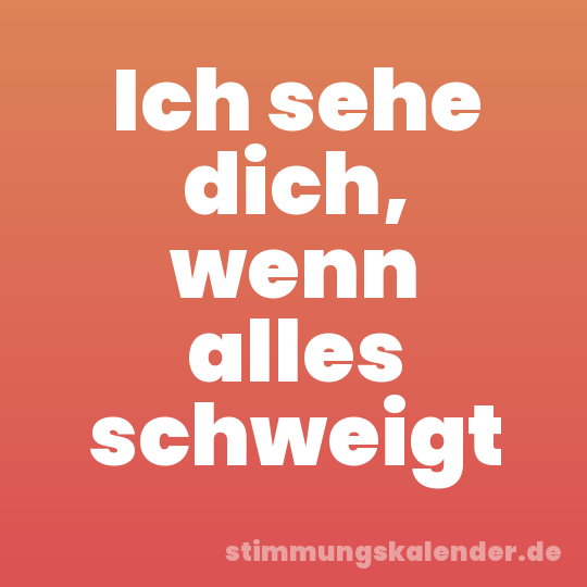 Ich sehe dich, wenn alles schweigt