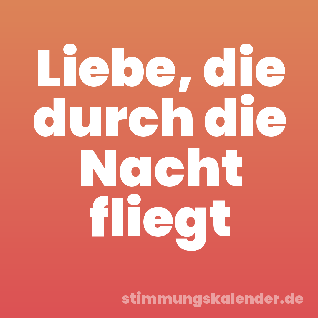 Liebe, die durch die Nacht fliegt