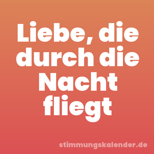 Liebe, die durch die Nacht fliegt