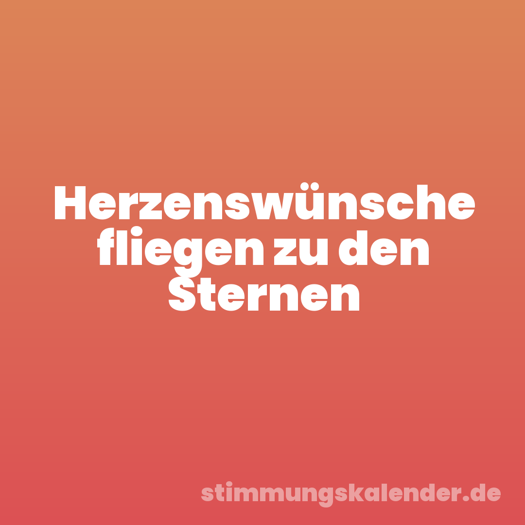 Herzenswünsche fliegen zu den Sternen