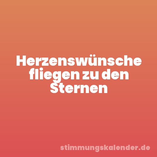Herzenswünsche fliegen zu den Sternen