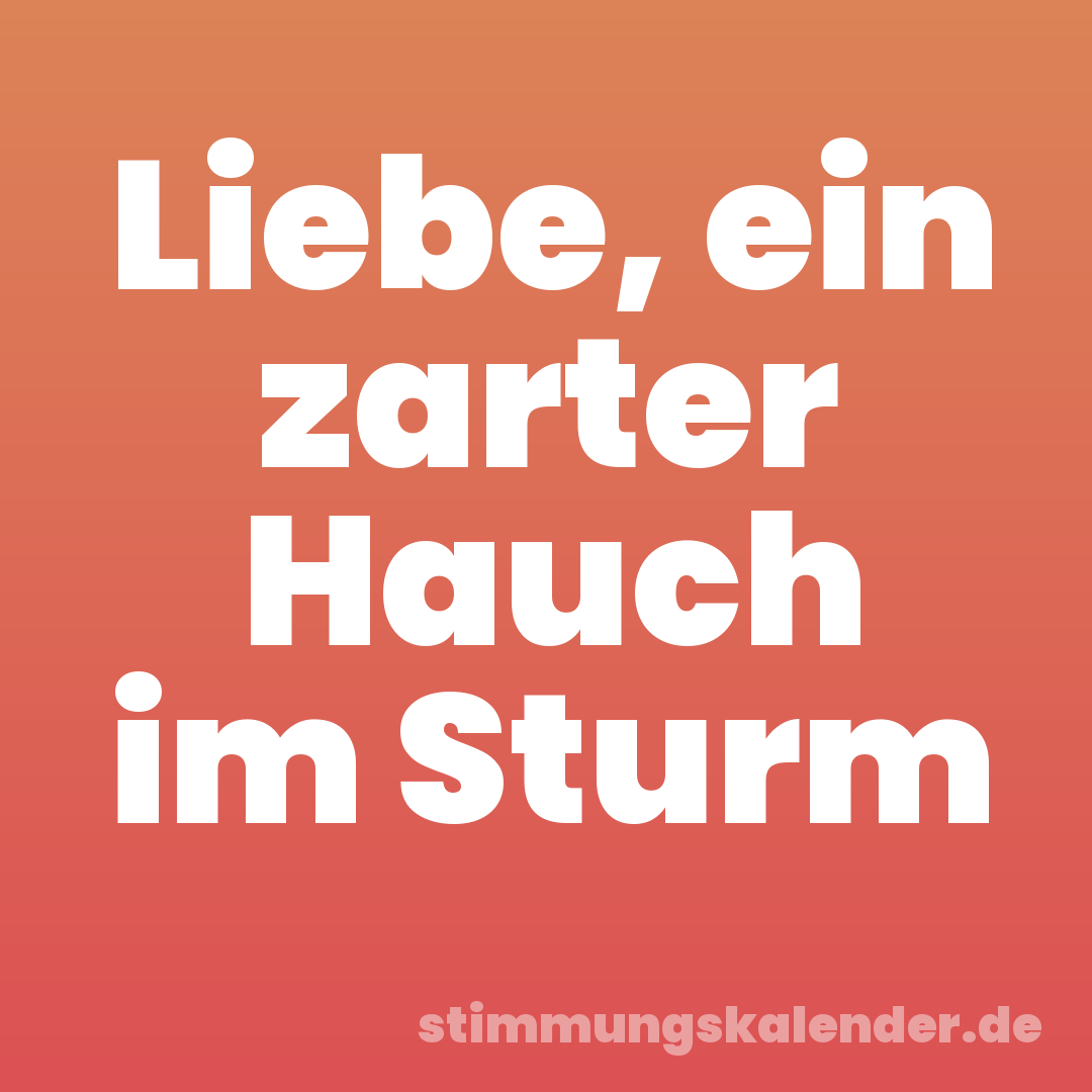 Liebe, ein zarter Hauch im Sturm