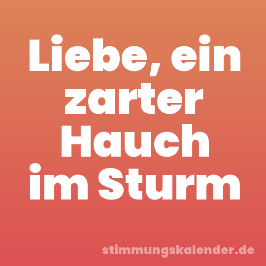 Liebe, ein zarter Hauch im Sturm