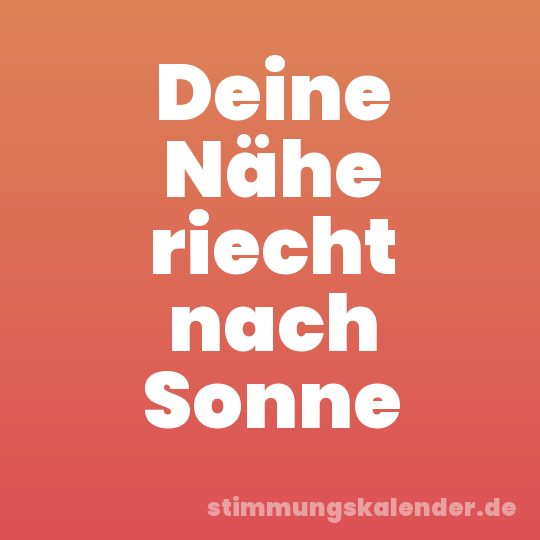 Deine Nähe riecht nach Sonne