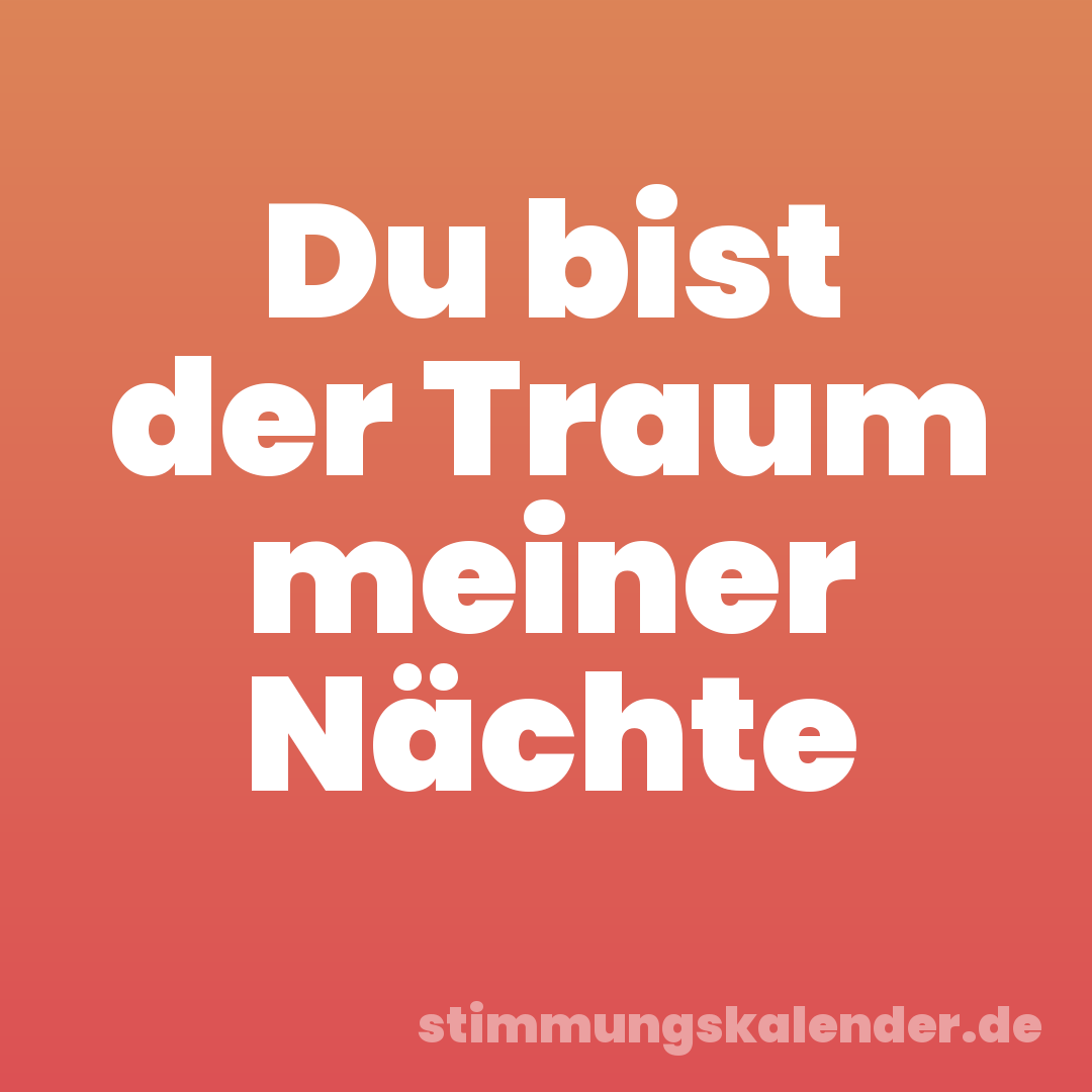 Du bist der Traum meiner Nächte