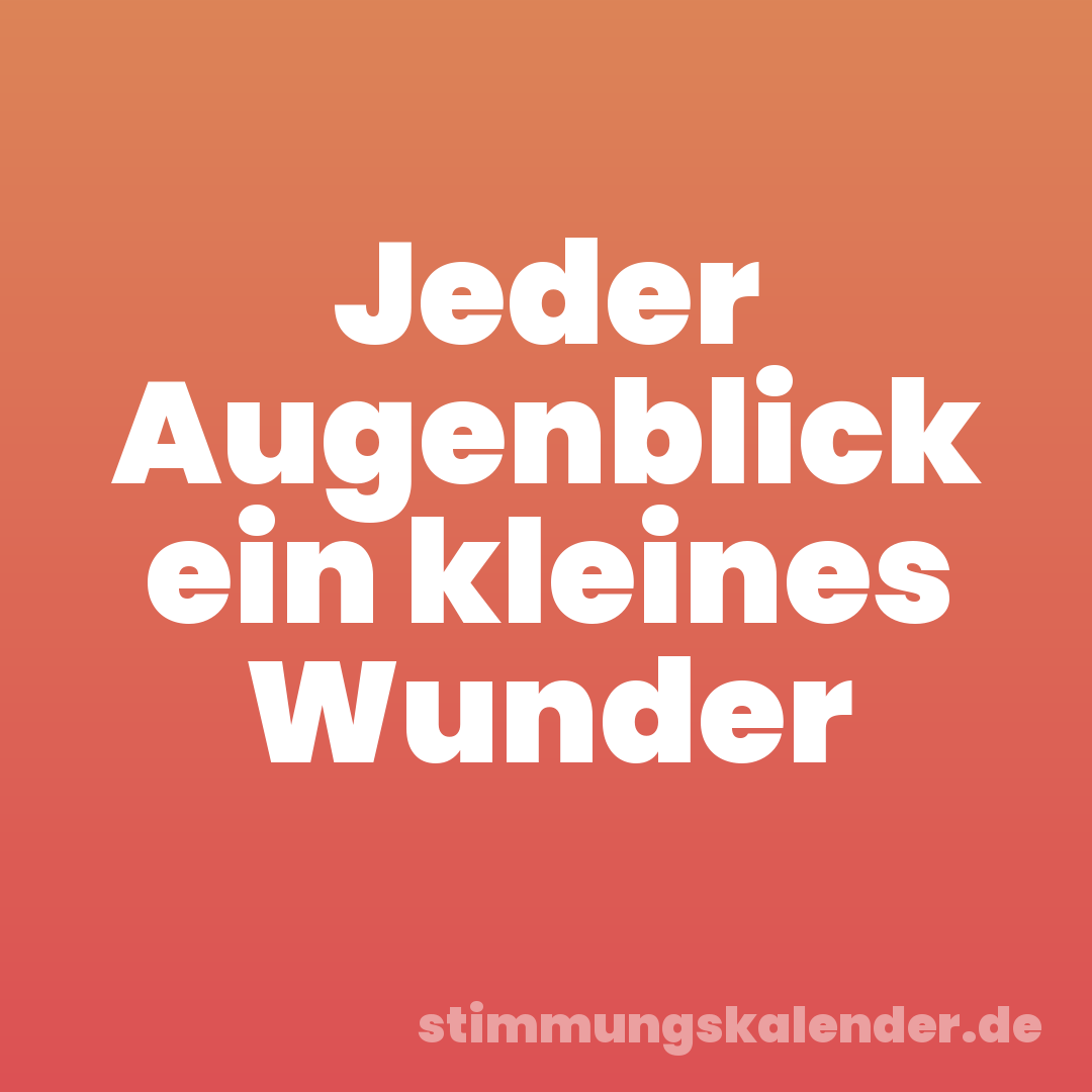 Jeder Augenblick ein kleines Wunder