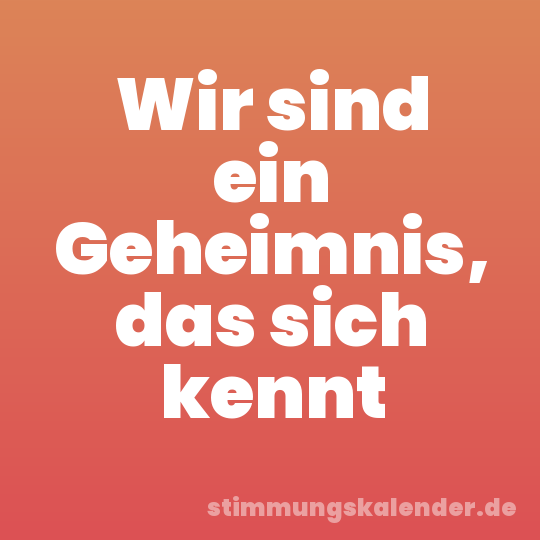 Wir sind ein Geheimnis, das sich kennt