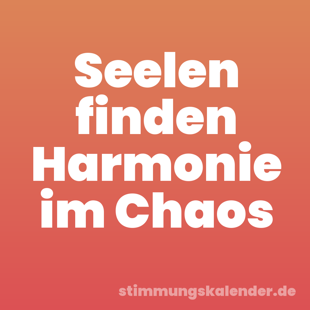 Seelen finden Harmonie im Chaos