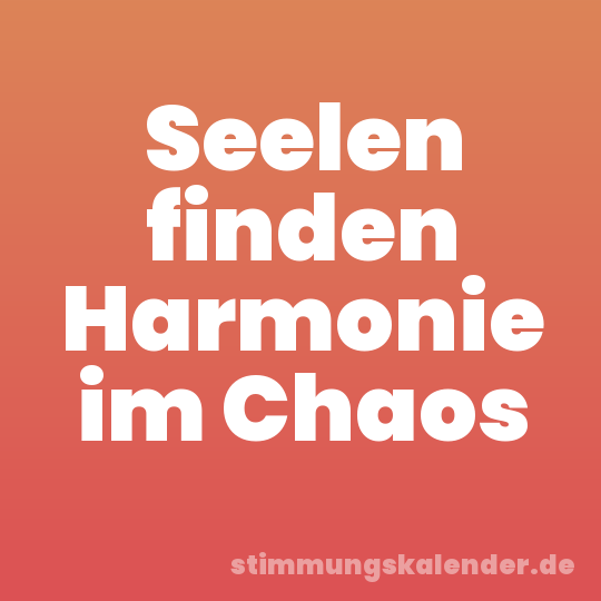Seelen finden Harmonie im Chaos