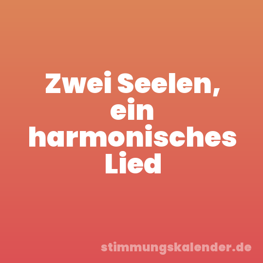 Zwei Seelen, ein harmonisches Lied