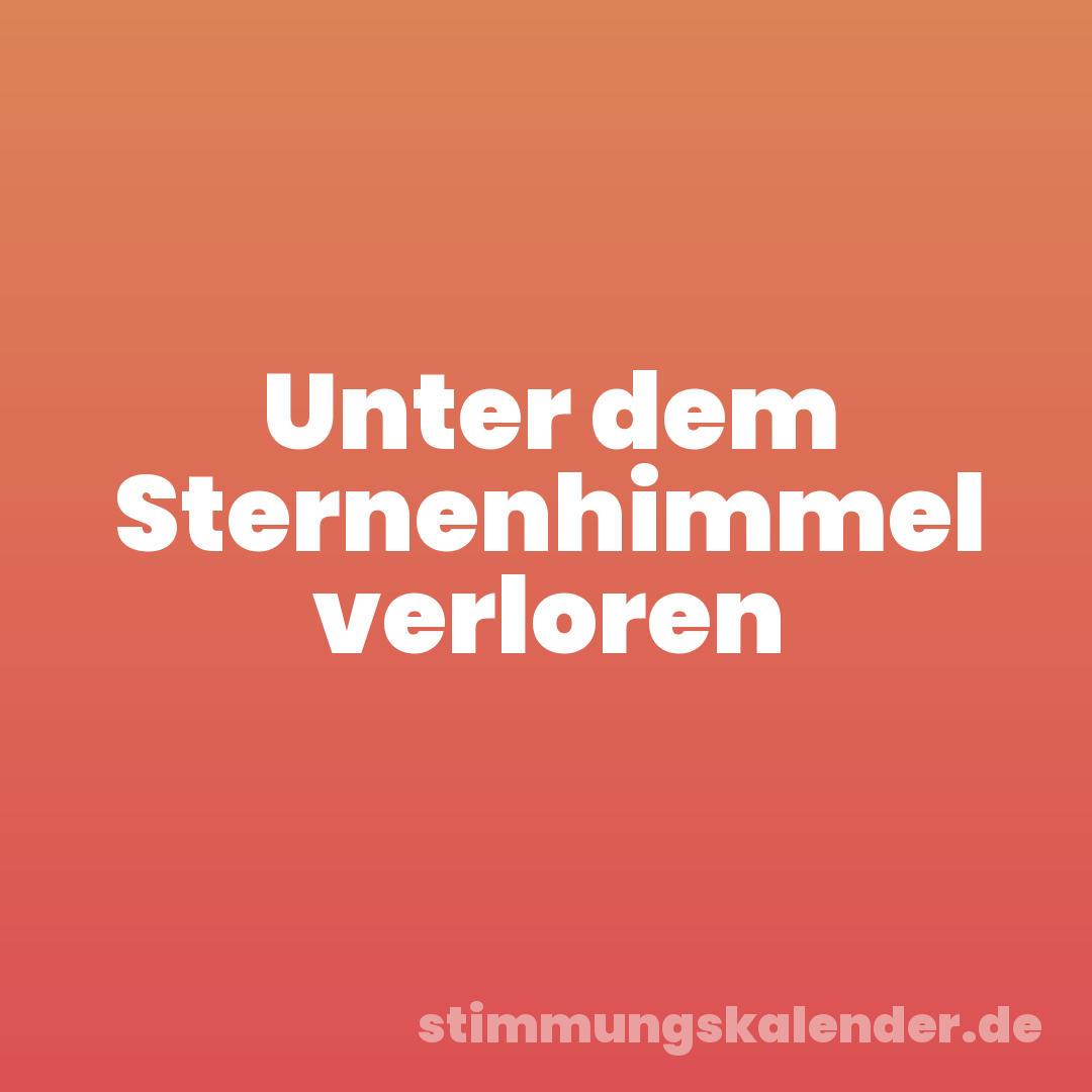 Unter dem Sternenhimmel verloren