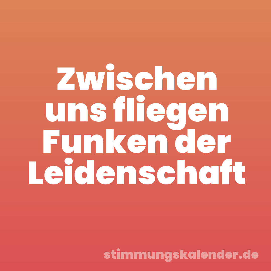 Zwischen uns fliegen Funken der Leidenschaft