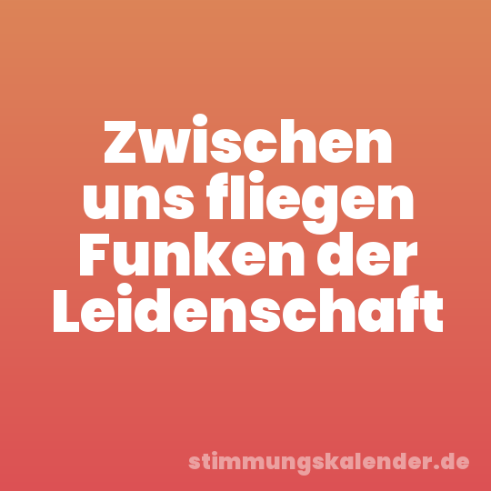 Zwischen uns fliegen Funken der Leidenschaft