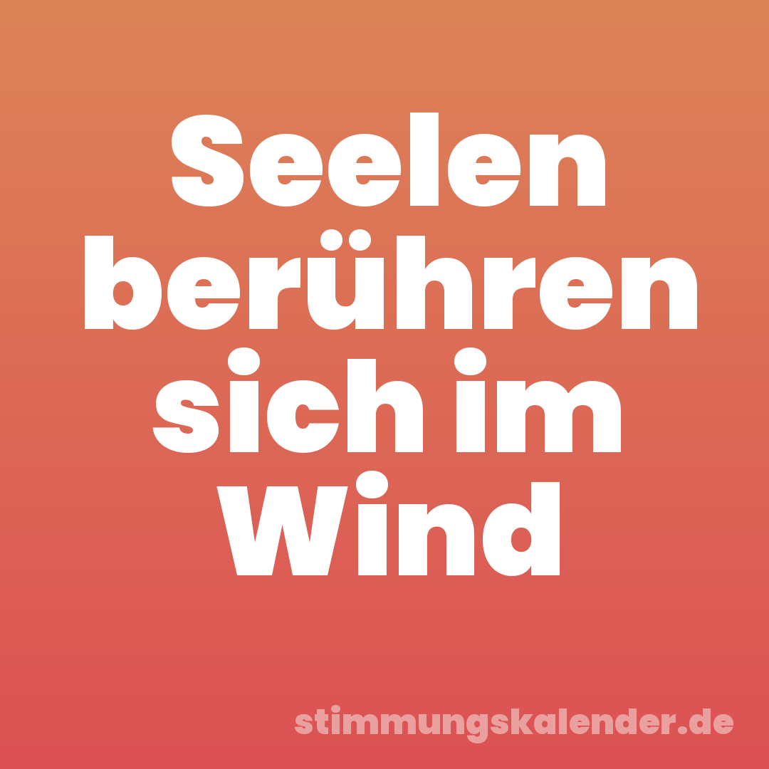 Seelen berühren sich im Wind