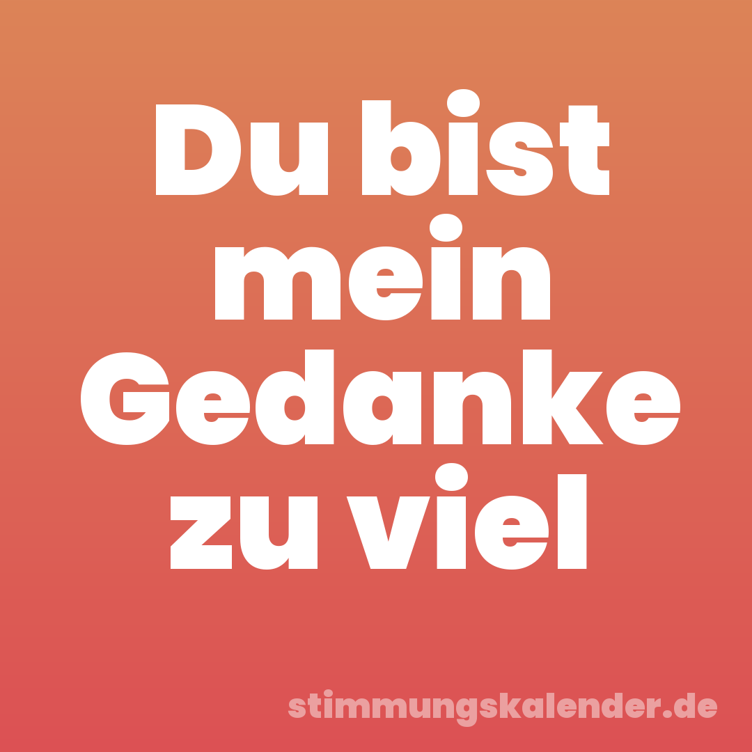 Du bist mein Gedanke zu viel