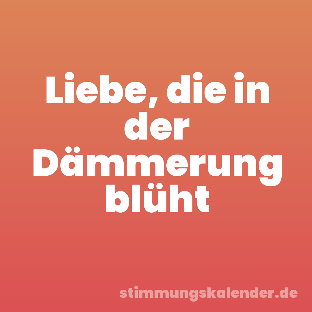 Liebe, die in der Dämmerung blüht