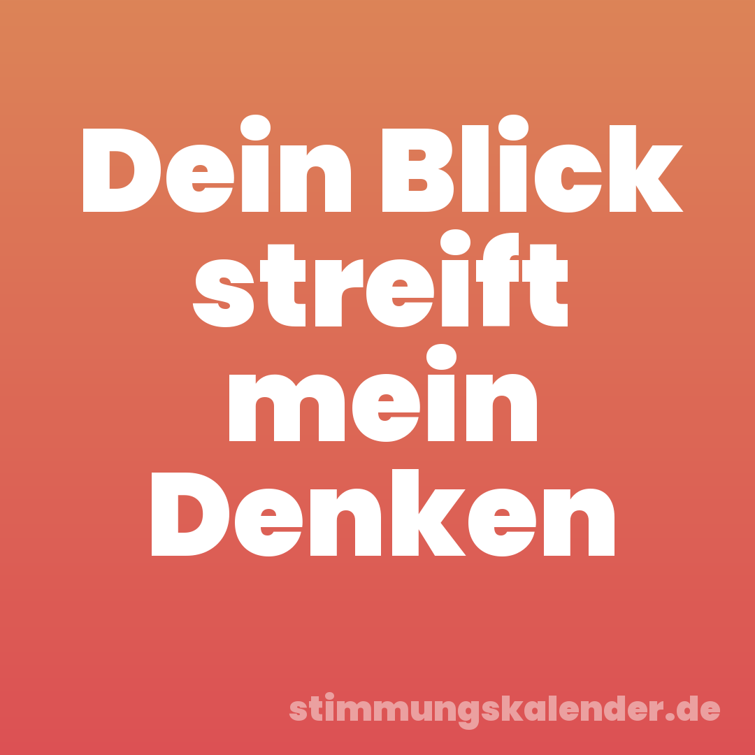 Dein Blick streift mein Denken