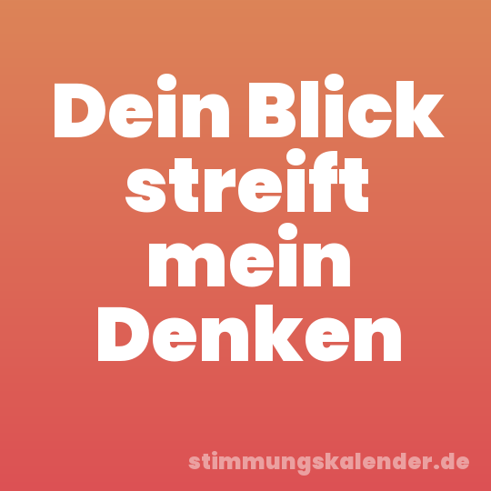 Dein Blick streift mein Denken