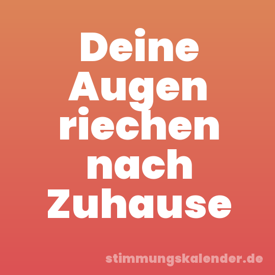 Deine Augen riechen nach Zuhause