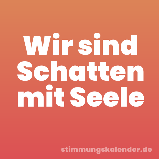 Wir sind Schatten mit Seele