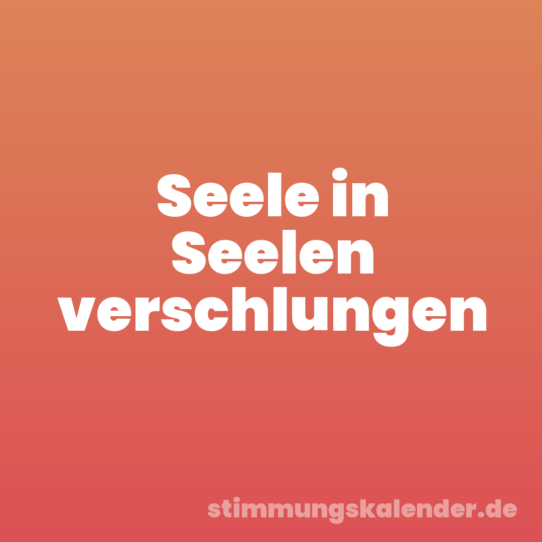 Seele in Seelen verschlungen