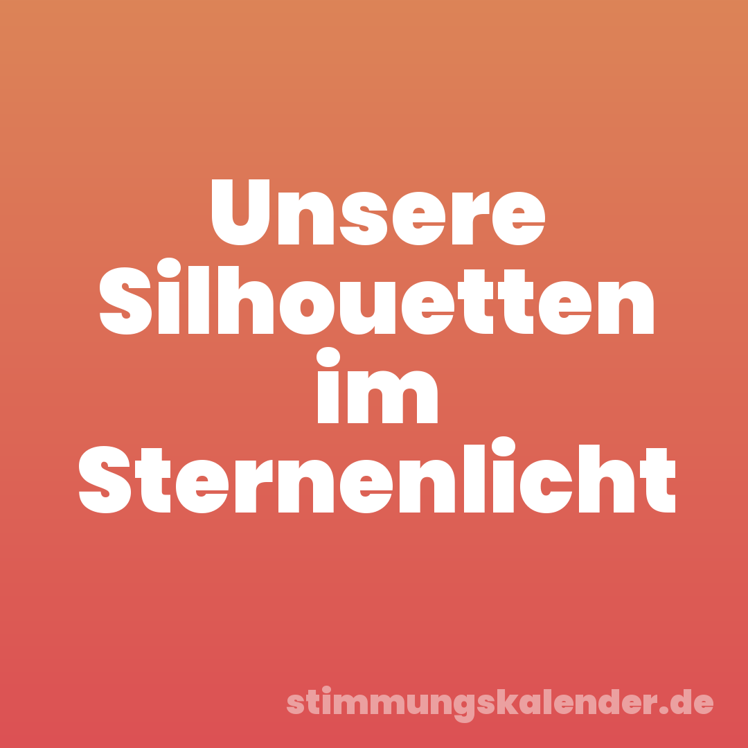 Unsere Silhouetten im Sternenlicht