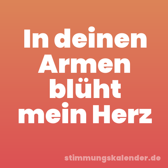 In deinen Armen blüht mein Herz