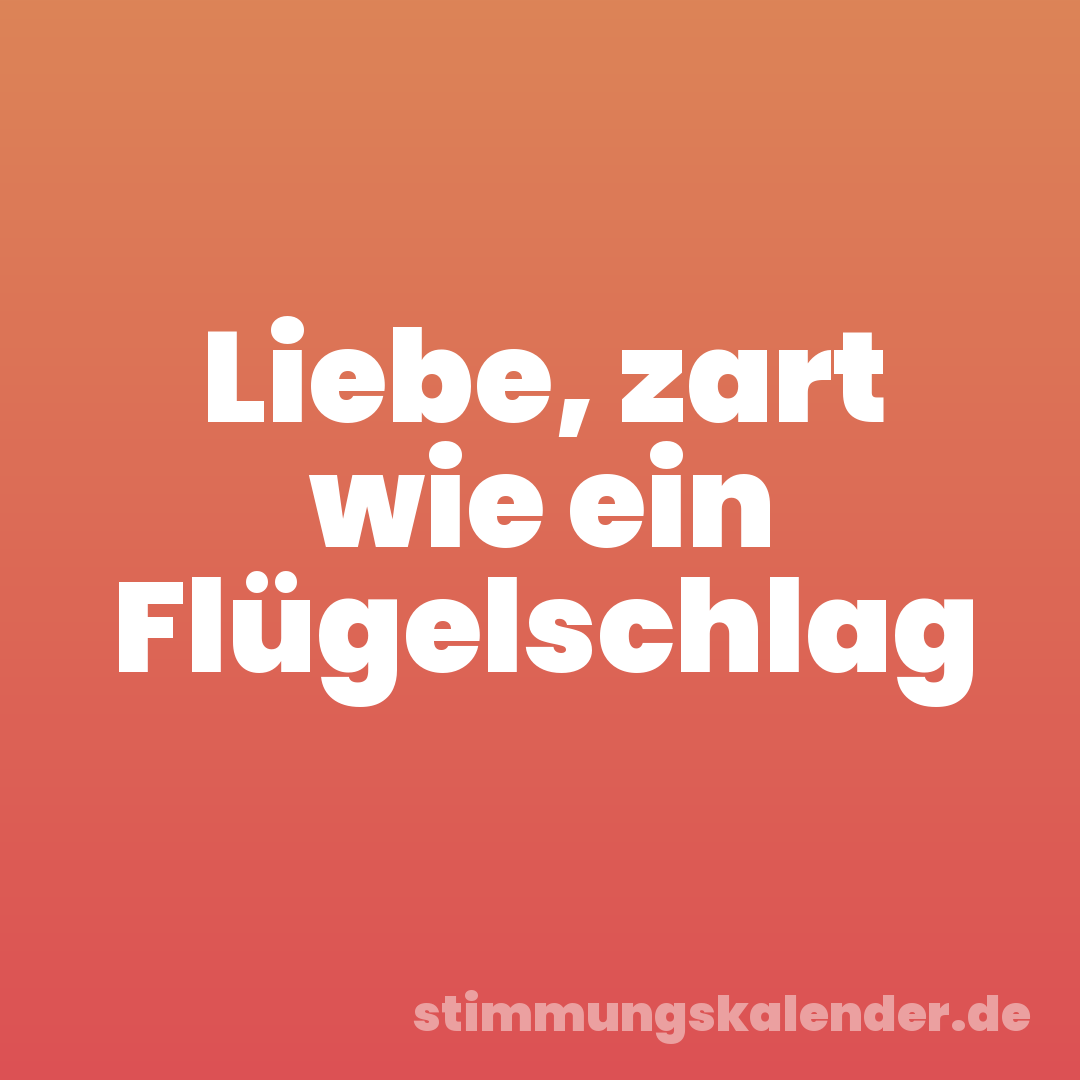 Liebe, zart wie ein Flügelschlag