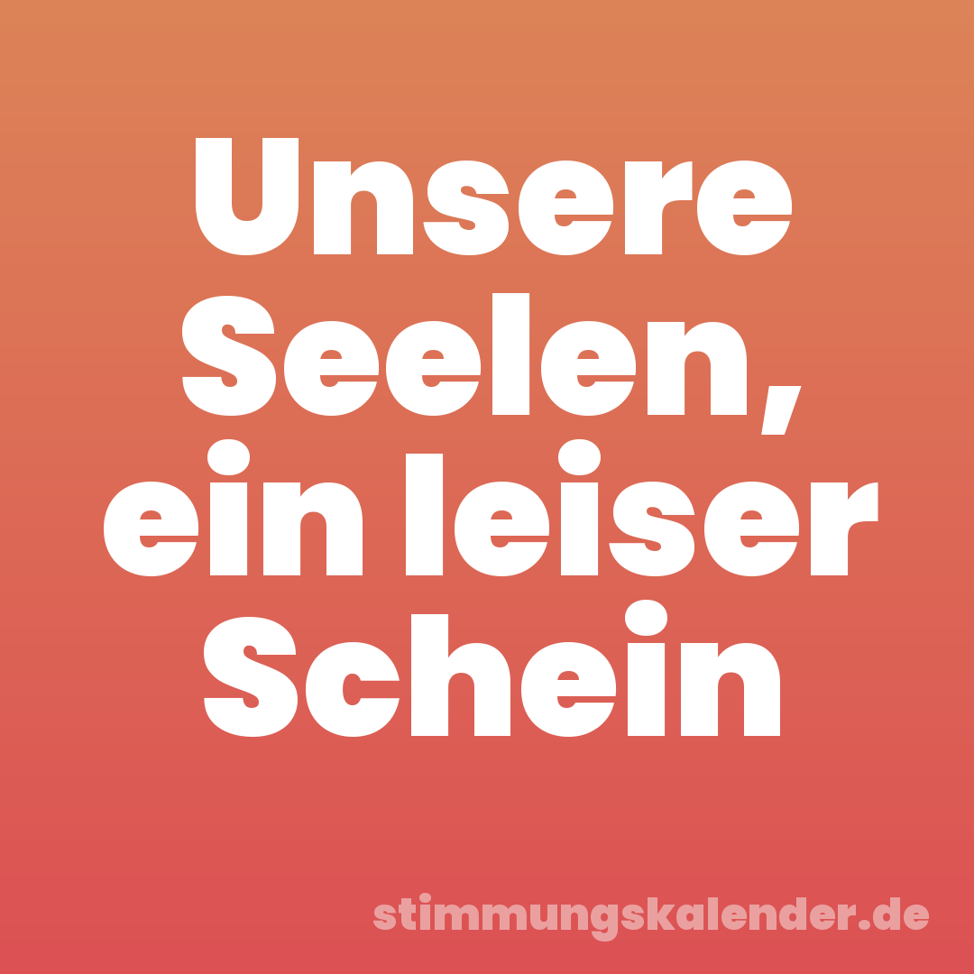 Unsere Seelen, ein leiser Schein