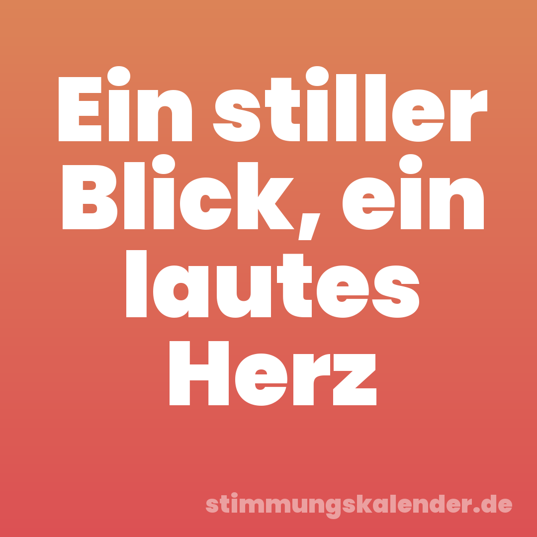 Ein stiller Blick, ein lautes Herz